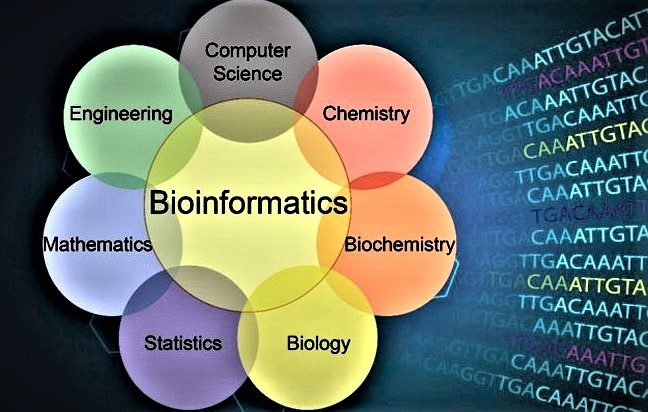 BioinfoApps
