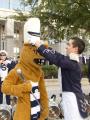 A look back at Bowl Week